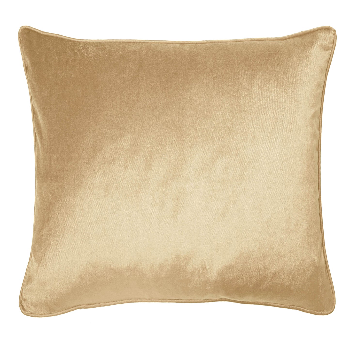 Nigella Velvet Feather Cushion