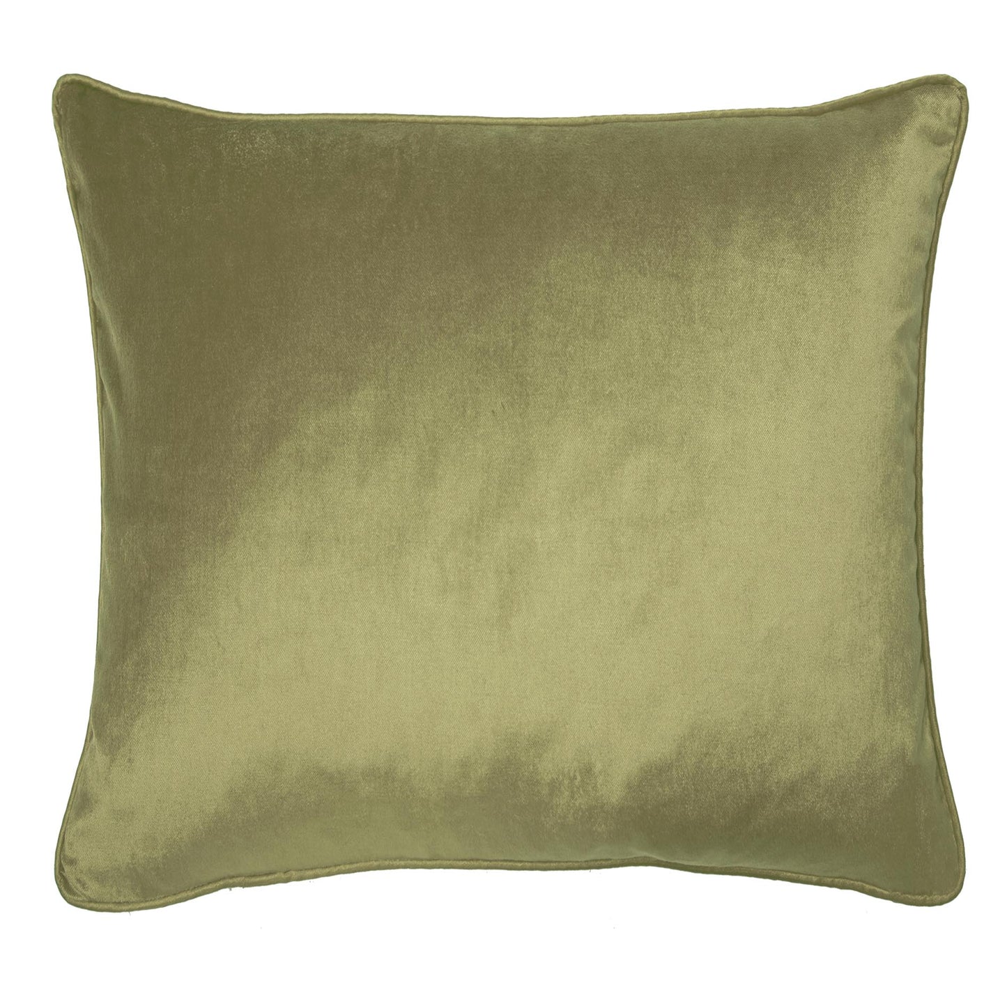 Nigella Velvet Feather Cushion