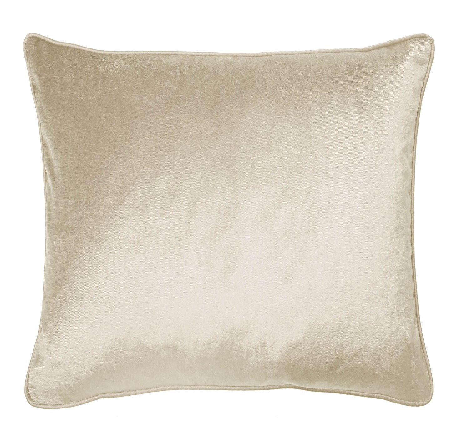 Nigella Velvet Feather Cushion