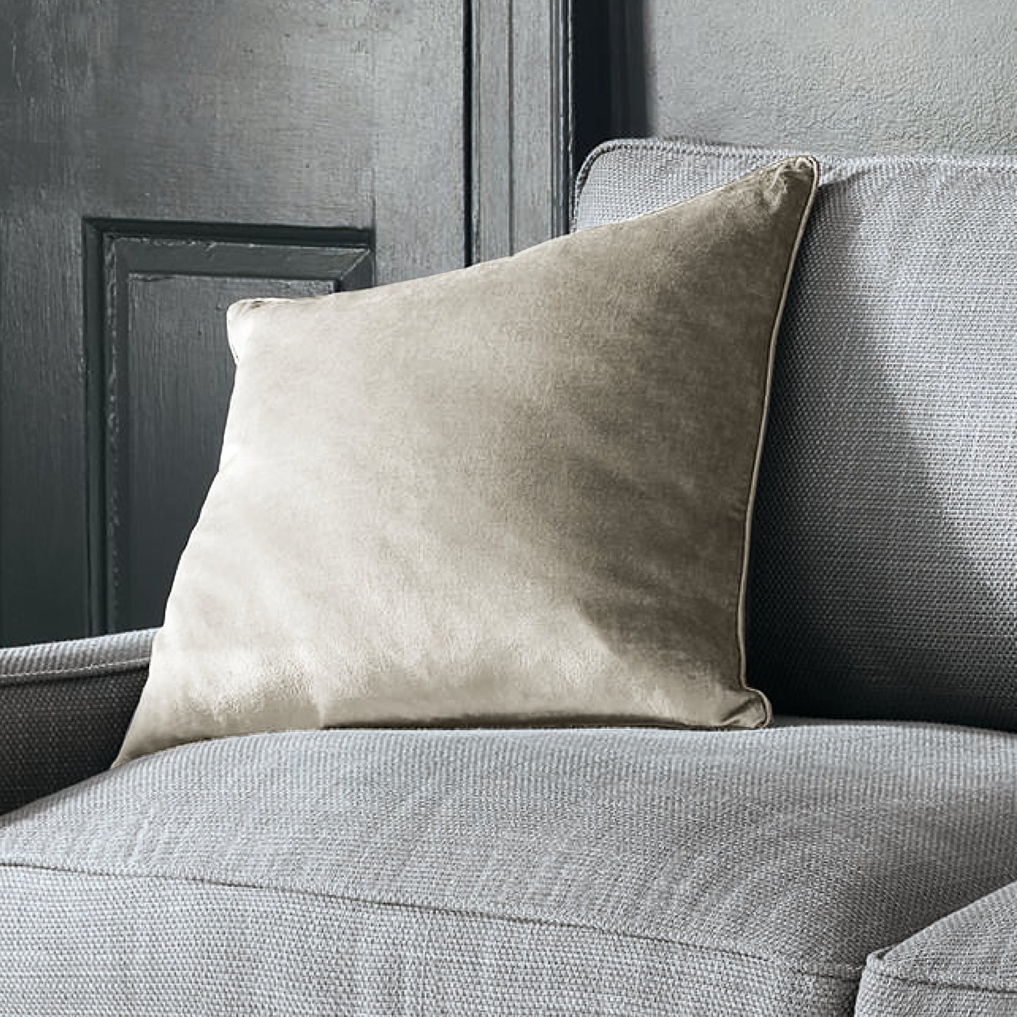 Nigella Velvet Feather Cushion