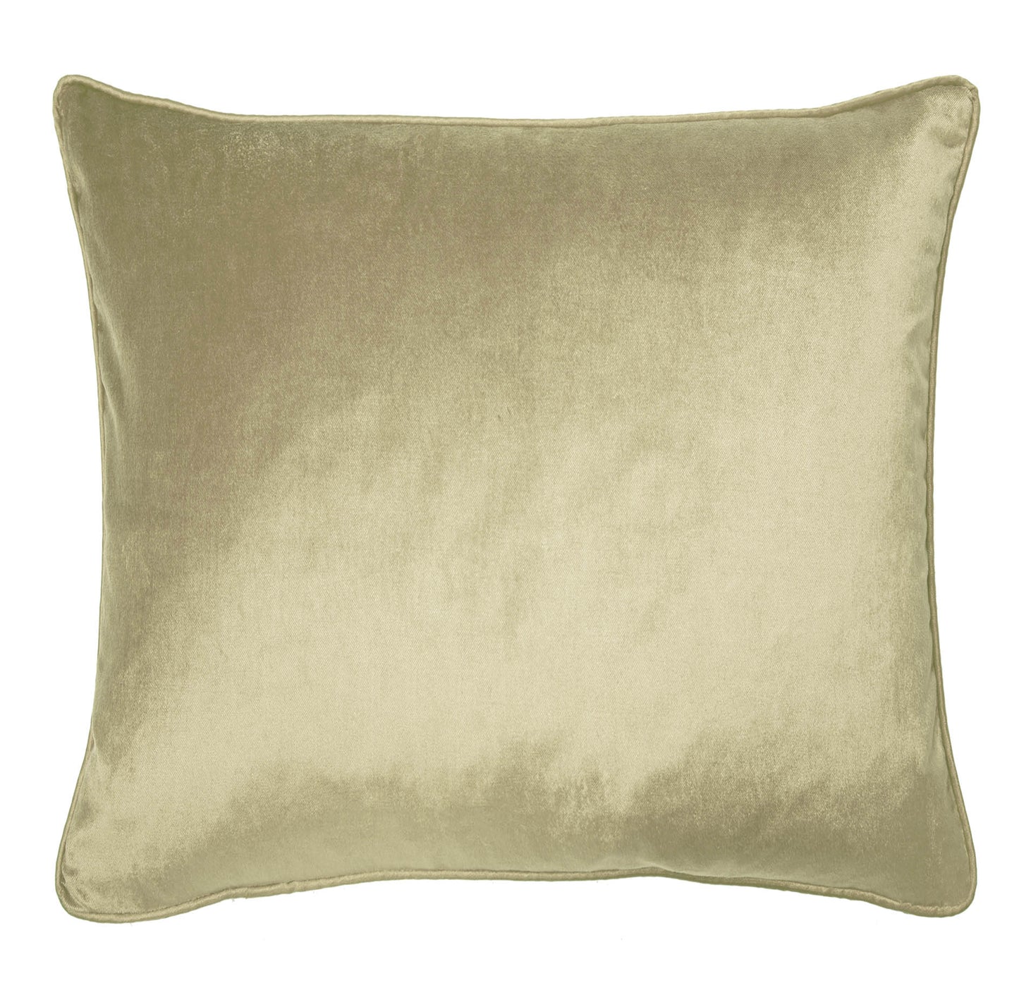 Nigella Velvet Feather Cushion